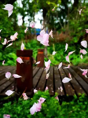 落花情未尽,积水映天高