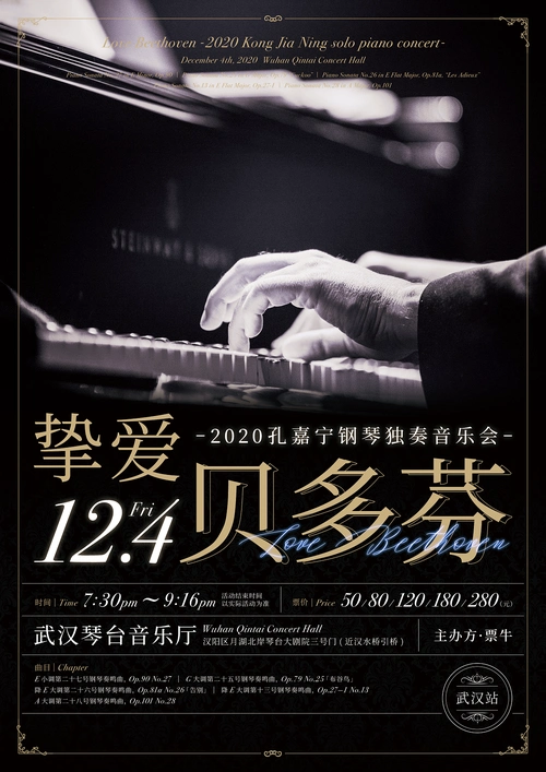 海报设计钢琴独奏音乐会