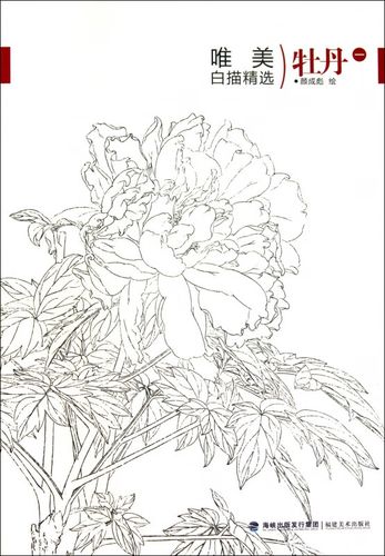 牡丹(1)/唯美白描精选