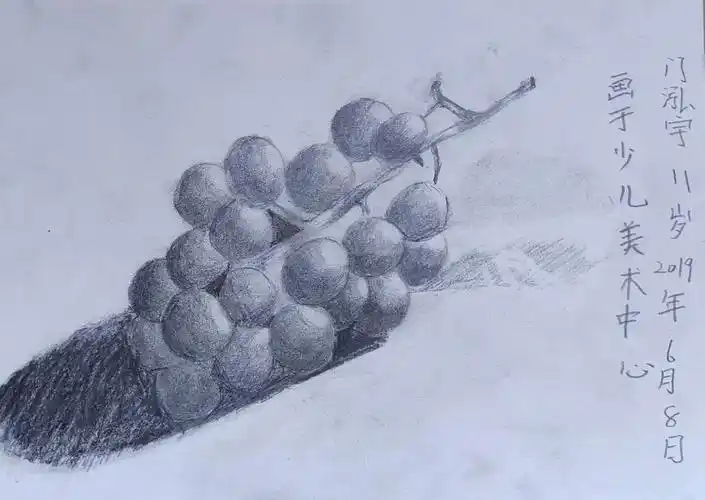 枣庄少儿美术教育高级班素描练习-葡萄