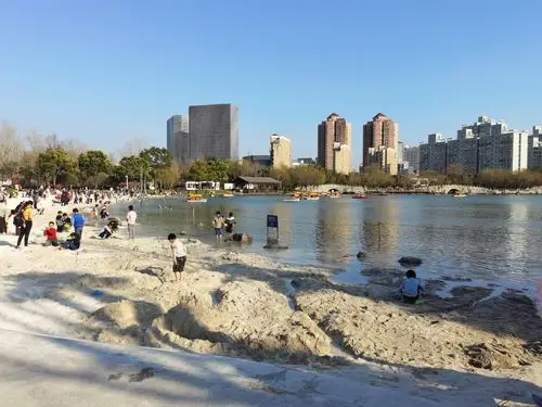 大宁郁金香公园的白沙滩