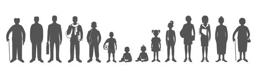 从婴儿期到成熟可爱的卡通过程,一步,婴儿鸡从鸡蛋孵化到成人