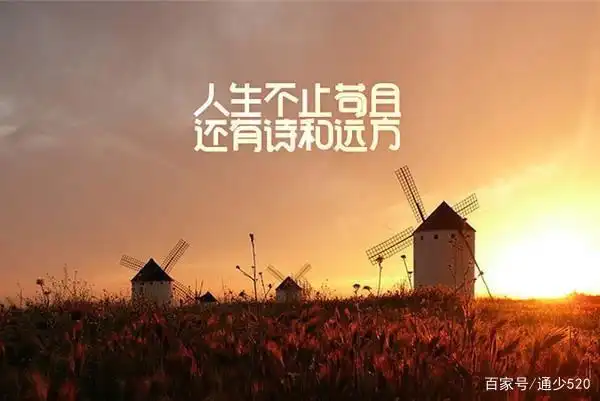 唯美动人原创抒情美文(诗,和远方)