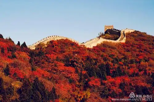长城,红叶,列车,美女