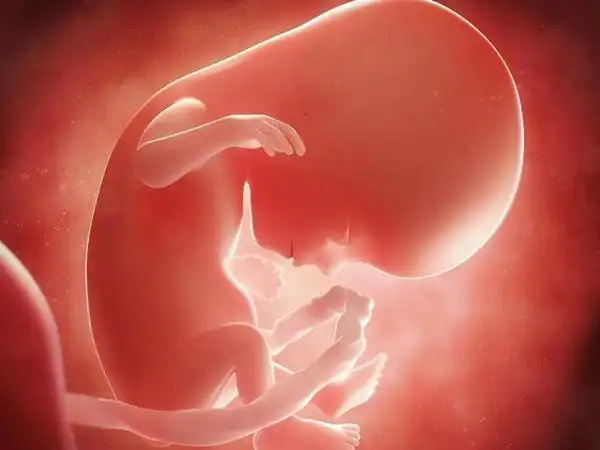 各阶段孕囊大小都有对照表50天时尺寸不能低于这个标准