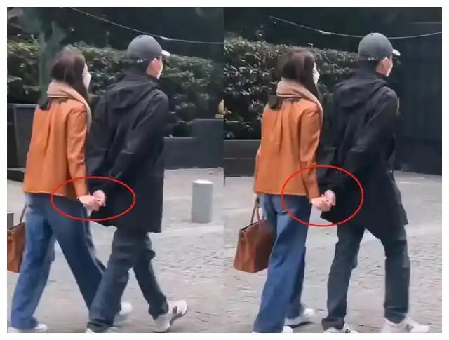 张智霖袁咏仪似小情侣外滩漫步网友专属牵手无疑超级浪漫