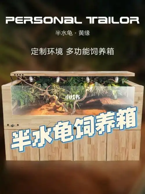 客订半封闭式黄缘龟饲养箱
