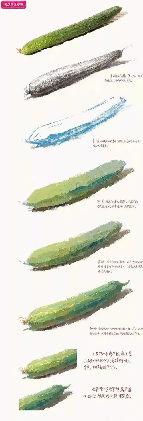 色彩教学|想画好水粉,必须从单个静物学起~ - 艺考查查