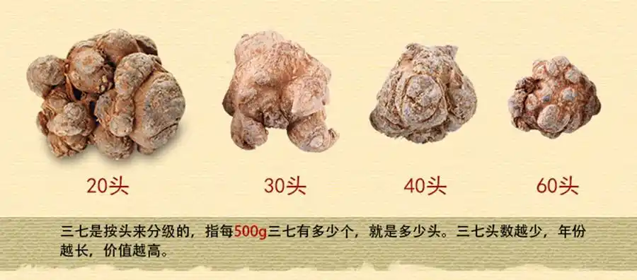 富厚世佳60头三七粒250克袋