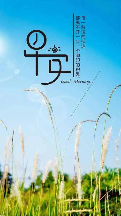 早安问候语简短一句话