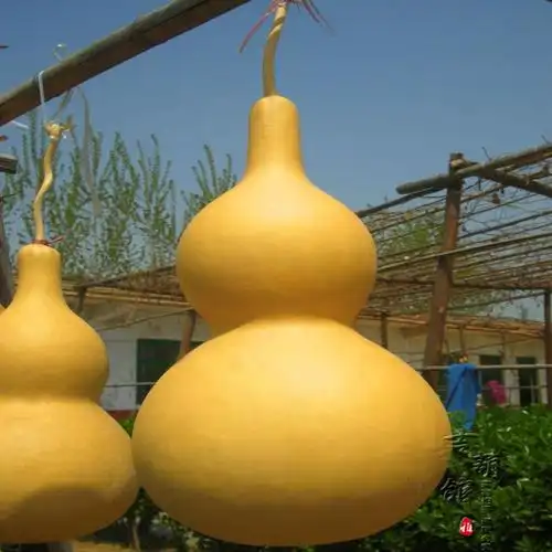 特大葫芦挂件摆件镇宅化煞招财文玩小手捻天然酒葫芦艾灸龙头木质