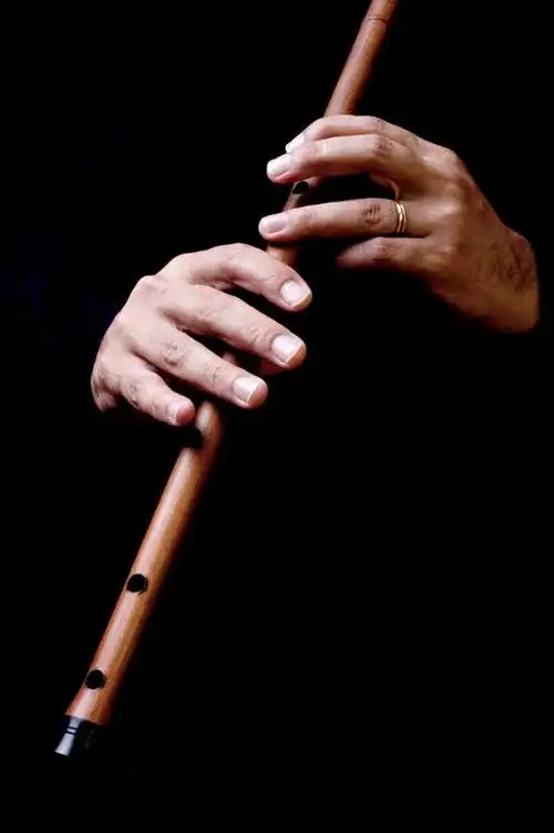 一个男性,仅一个人,仅一个中年男性,握,黑色背景,服装,朦胧,模糊,笛子