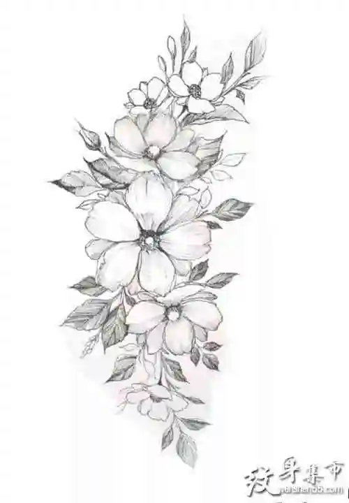 素花纹身,素花纹身手稿,素花纹身手稿图案