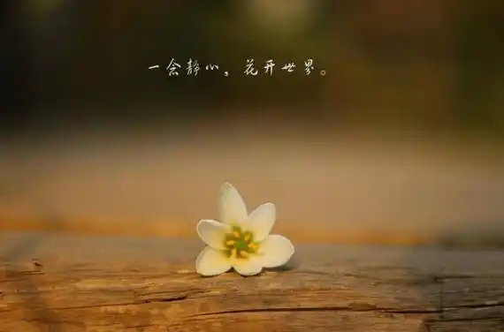 当心平静下来,头脑也会清楚一些