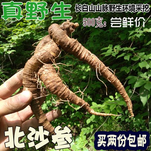 东北长白山特产新鲜北沙参轮叶党参山地瓜山胡萝卜野生500克 包邮