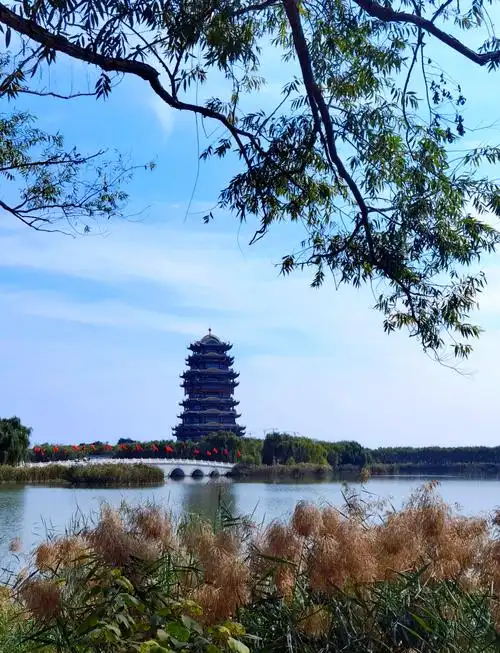 🌊🌾滨州,这座位于渤海之滨,黄河之洲的城市,真的是宜居的典范!
