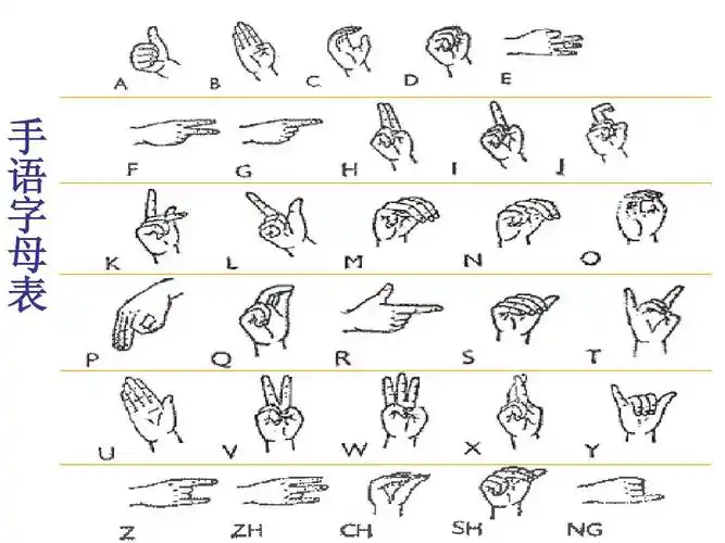 基本手语知识1ppt