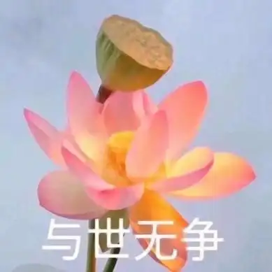 莲花头像带字图片大全高清好看的带字莲花头像图片头像