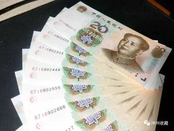 "五版看号码",这意味着第五套人民币中,特殊号码的纸币因其独一无二的