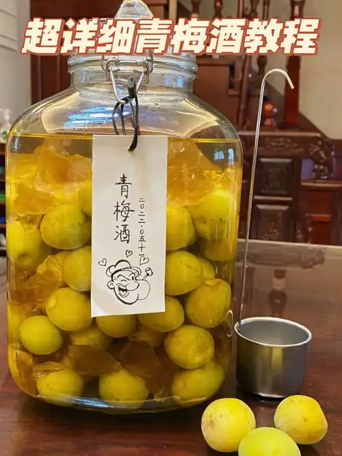 0失误自制青梅酒超详细教程