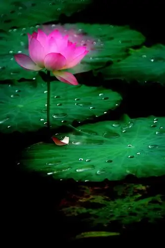 多次曝光拍摄(图片欣赏)