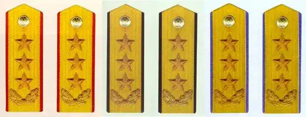 社会学百科 社会日常生活   海军一级上将军衔主要标志为金黄色肩章两