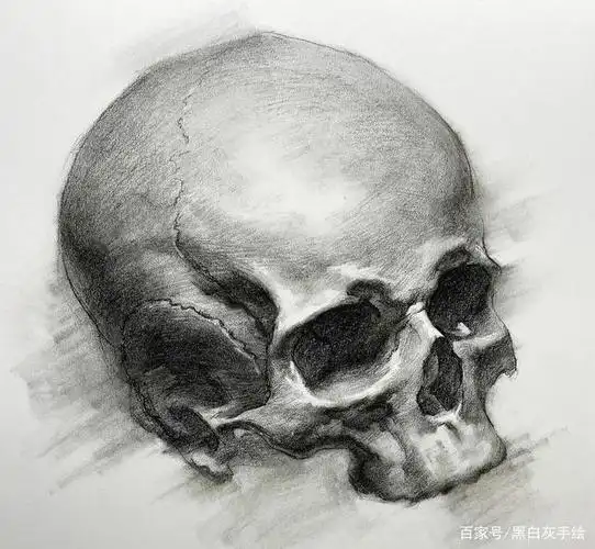 看了这九张优秀素描头像作品,你一定有所收获