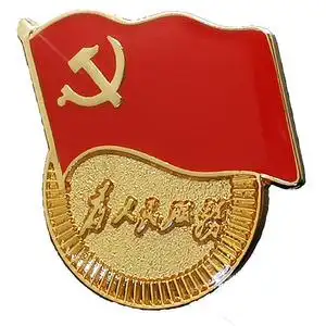 2020新版抗疫党员党徽胸章胸针 高档别针磁铁 标准型党微徽章扣针