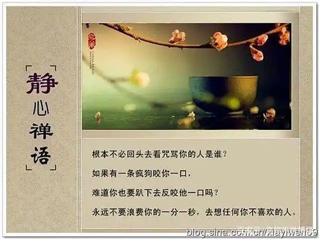 渡佛禅语,感悟人生,万般皆苦,唯有自渡