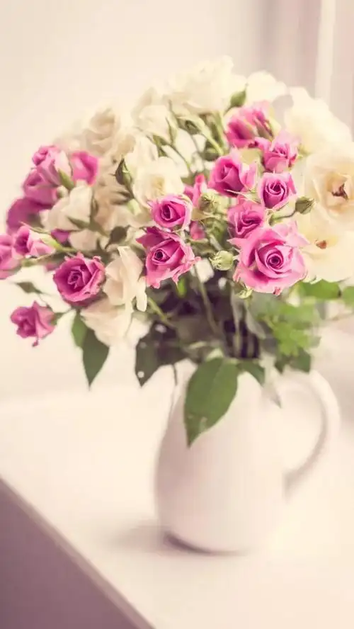 本文关键词:个性玫瑰花壁纸高清,唯美玫瑰花壁纸高清,唯美玫瑰花壁纸