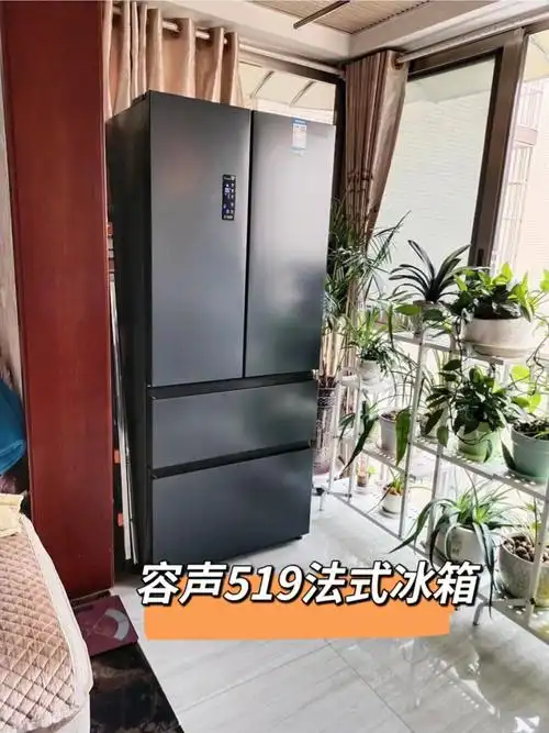 双十一宅女居家神器容声冰箱