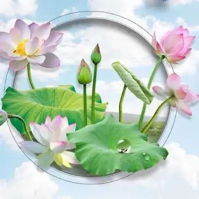 老年人专用头像高清家和平安意境大图