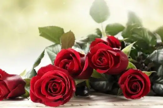 5,尊贵身份的象征