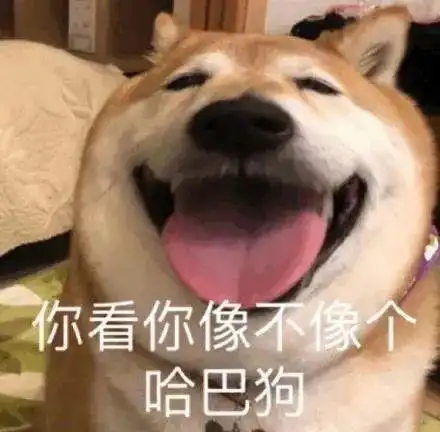 138张手机里最搞笑的表情包