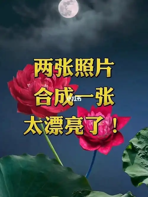 两张照片合成一张照片