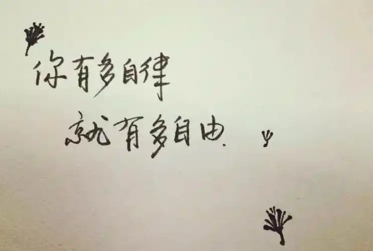 自律给我自由-瑜伽初级31-35全勤标兵营全勤学员展示