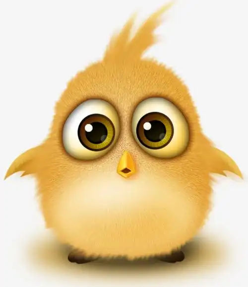 一只可爱的卡通小鸡