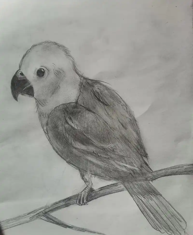 十岁儿子画的不同风格素描画