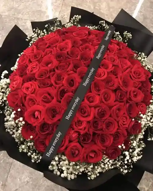 关于玫瑰与爱情的图片,有关爱情的玫瑰花的图片