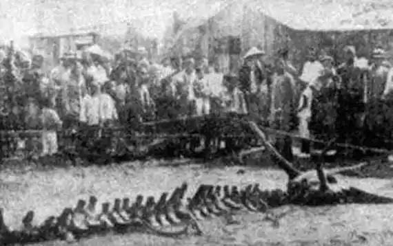 昆仑山也是从06年真龙吃人事件之后才传出了很多的传言,但是这起龙吃