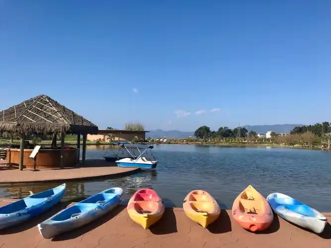 其它 元宵节快乐澄江游d2:酒店一月亮湾湿地公园一樱花谷一温水塘一