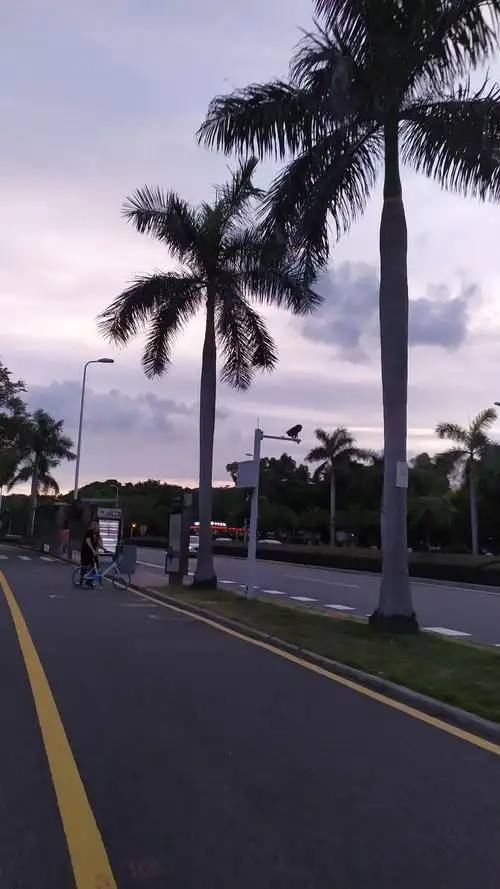 最美的风光在路上——游厦门