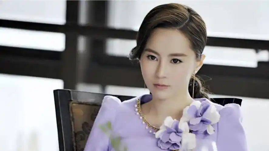 傅颖:事业搁浅,情随风逝,今笑言:已经没想过再红了_公司_同年_电视剧