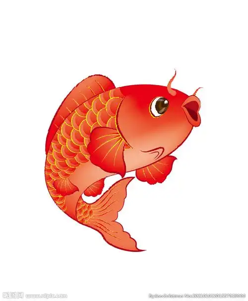 手绘鲤鱼 红鲤鱼设计图__绘画书法_文化艺术_设计图库_昵图网nipic.co