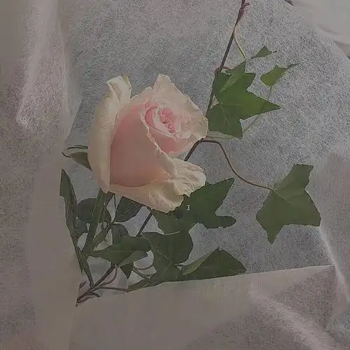 唯美文艺风格qq背景墙微信背景图 烦恼都是小事故_唯美图片-qqkw个性