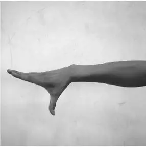 古典舞男女手形,手位与舞姿(图解)