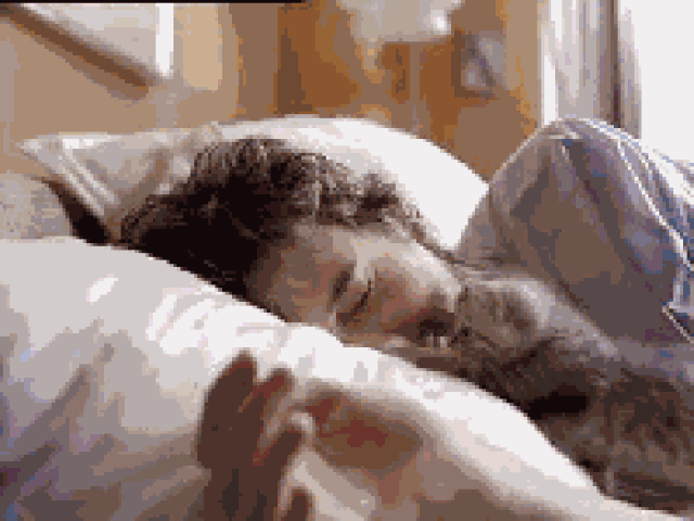 猫咪恋爱了是什么样子?