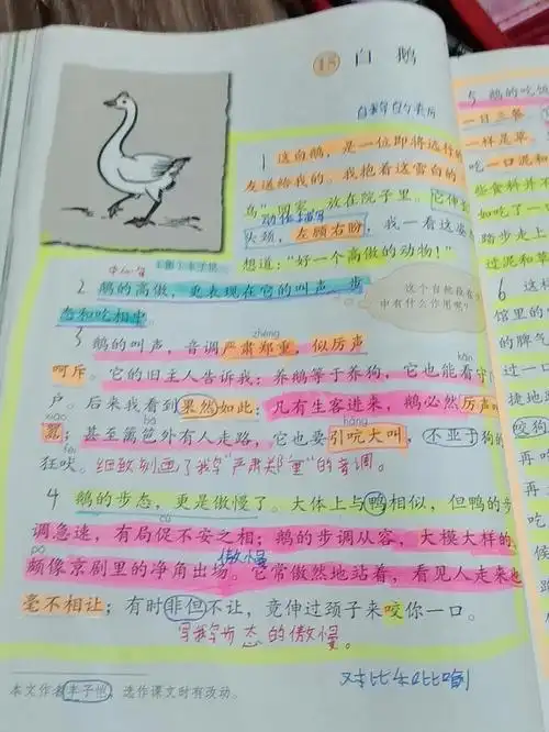 四年级下册语文15课笔记白鹅
