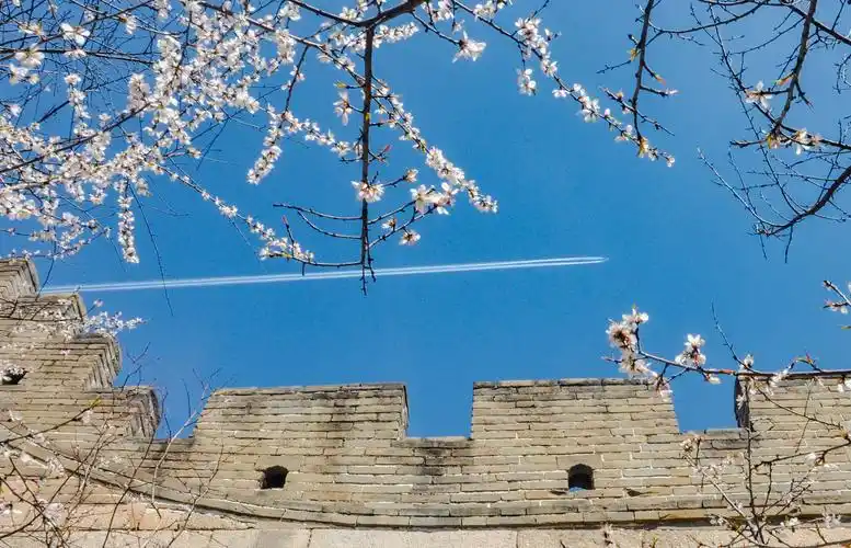 八达岭长城春花初绽放 花香遍野美不胜收