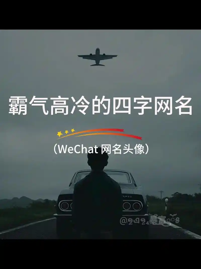 霸气高冷的四字网名.我的世界,我一个人懂就好 #特殊符号网名 - 抖音